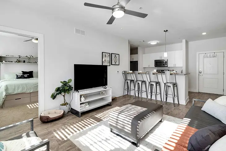 furnished living space