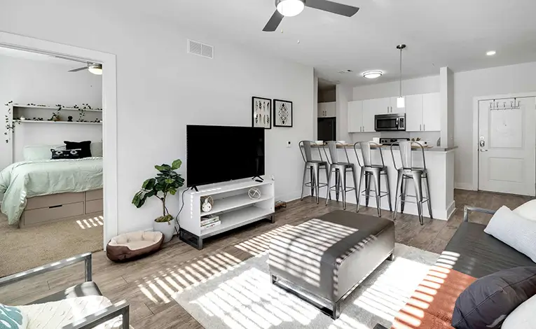 furnished living space