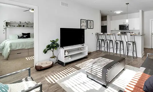 furnished living space